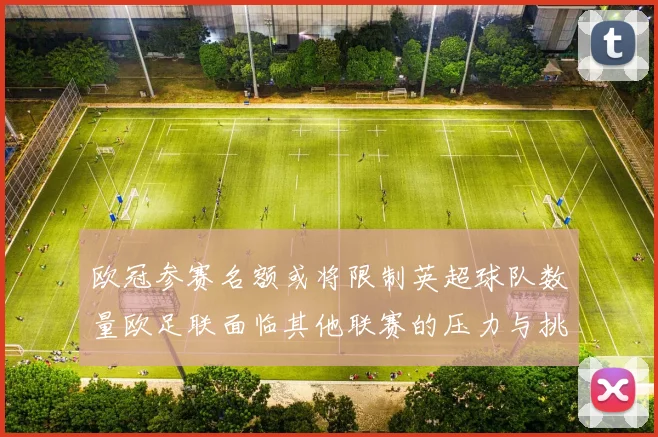 欧冠参赛名额或将限制英超球队数量欧足联面临其他联赛的压力与挑战