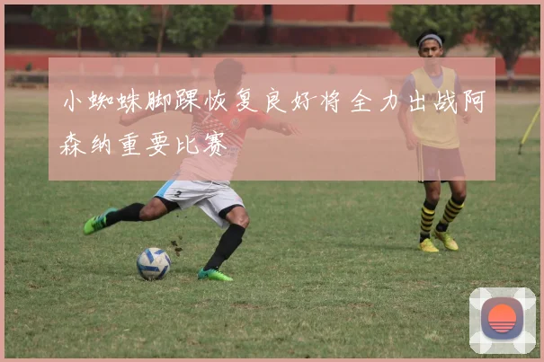 小蜘蛛脚踝恢复良好将全力出战阿森纳重要比赛